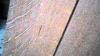 Quartersawn White Tiger Oak Woodworking Planks Craft Wood