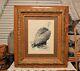 Striking Bald Eagle Le Litho Print By Robert Katona In Antique Tiger Oak Frame