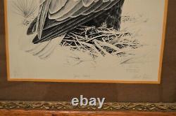 Striking Bald Eagle LE Litho Print by Robert Katona in Antique Tiger Oak Frame